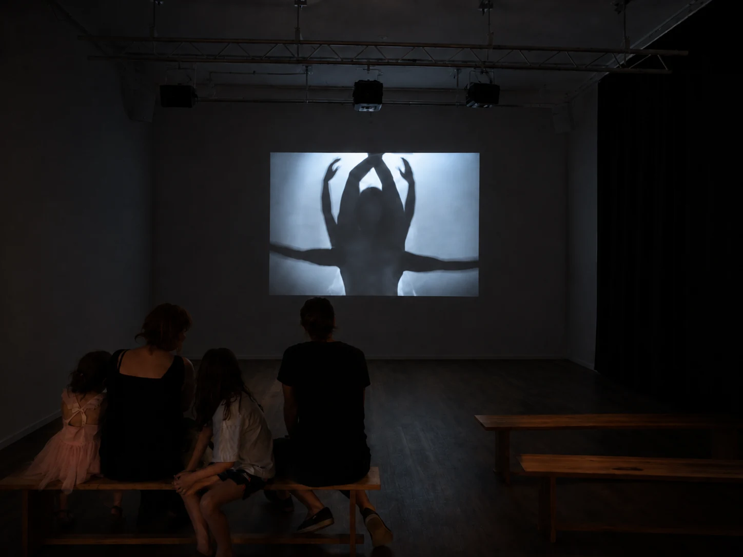 Audience seated in front of the Fascinating Fascism projection